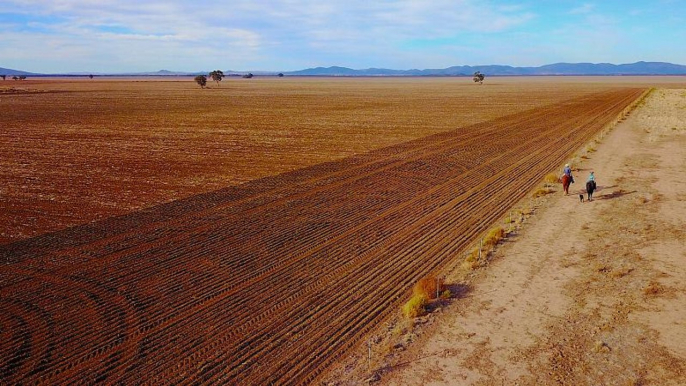 Australian farm output hit by drought