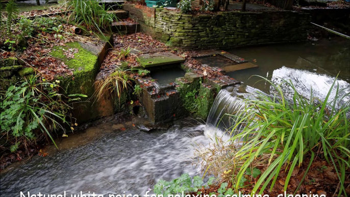 Natural white noise for relaxing, calming, sleeping, focus, study, rain falling, thunder, wind, waterfall, river stream,  showers, high sound quality - 30 minutes