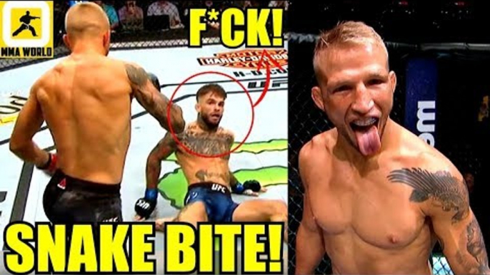 MMA Community Reacts to the Incredible First RD Finish in TJ Dillashaw vs Cody Garbrandt,UFC 227