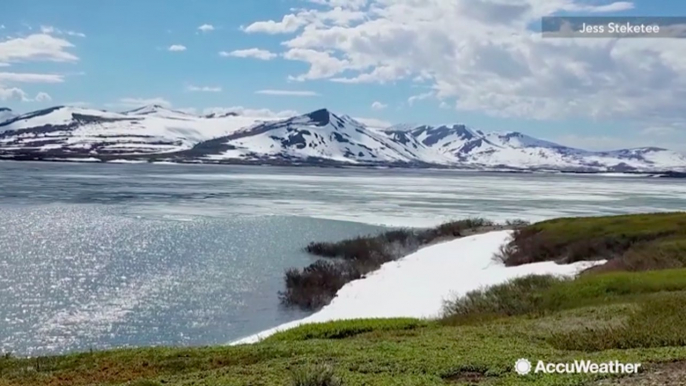 AccuWeather in Alaska: How small animals may affect climate change