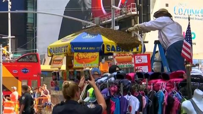 Bees swarm hot dog cart in Times Squae, police shut down street