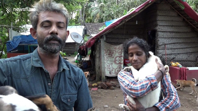 Kerala woman refused to leave her 25 dogs behind during flood rescue