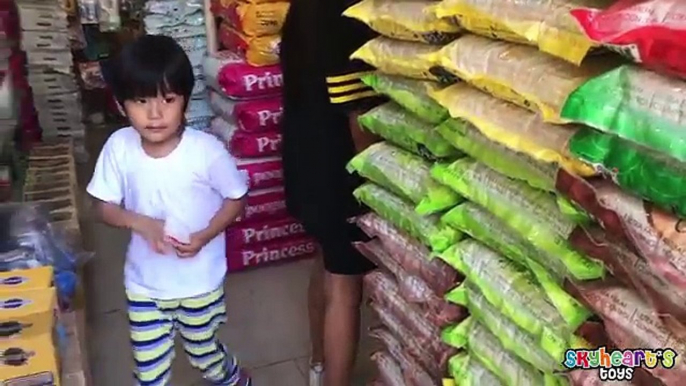 Toddler visits a PET SHOP Part 2 Dogs, Cats, Birds Animals and kids pets toys children Sky