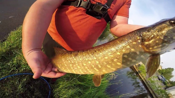 PECHE DU BROCHET EN CASTING pas cher