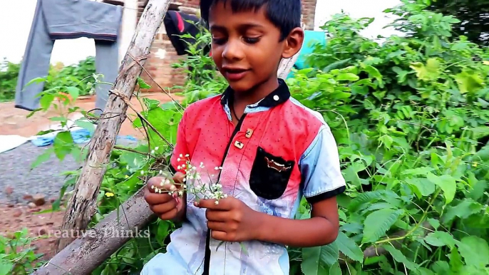 Village Rakhi Show (రాఖిట్ల పున్నం) | Ultimate village Nature | Creative Thinks