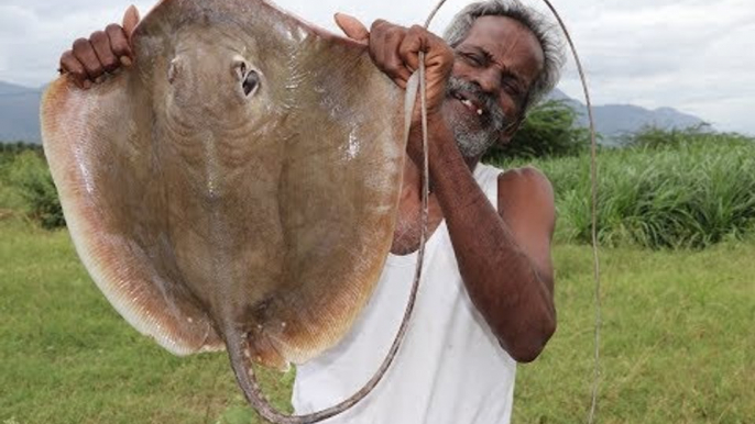 STINGRAY / South Indian authentic STINGRAY Fish Kulambu Prepared by my DADDY / Village food factory