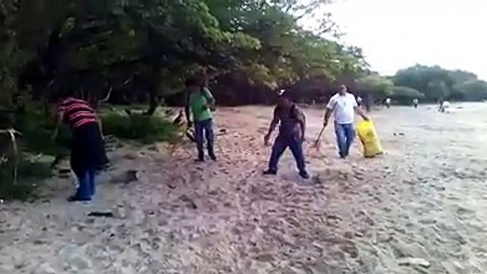 #NicaraguaSiempreLinda Movimiento Guardabarranco continúa realizando limpieza en “Reserva La Flor”, para preservar los espacios de anidación de las tortugas.