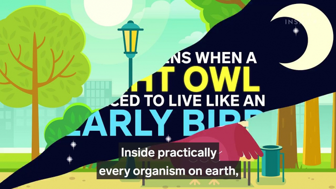 Here's what happens when a night owl wakes up too early.