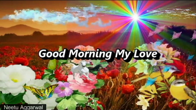 Good Morning  My Love Wishes,Good Morning Greetings,Wallpapers,E-card,Good Morning Whatsapp video