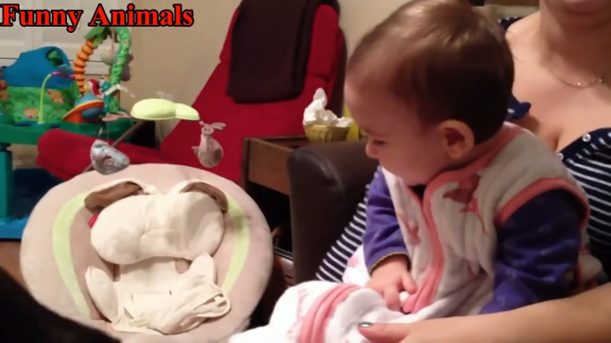 Try Not To Laugh: Baby Laughing At Boxer Dogs - Funny Dog and Baby Videos