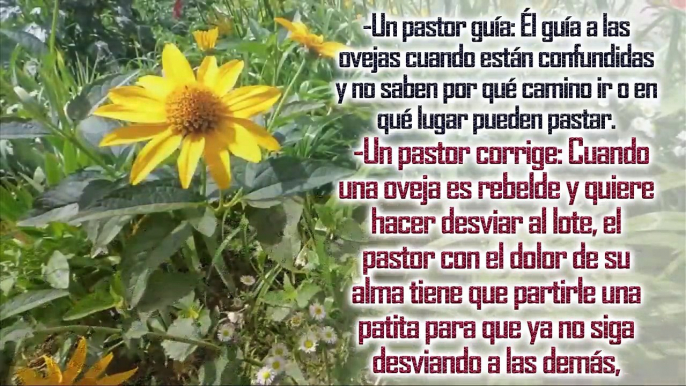 ORACION DE LA MAÑANA  ENFOCATE  EN DIOS NO EN TUS PROBLEMAS  - 4 CONSEJOS PARA NO PREOCUPARSE