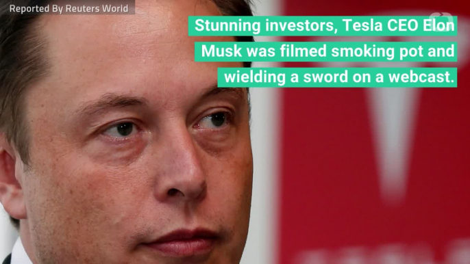 Has Elon Musk Completely Lost His Mind?