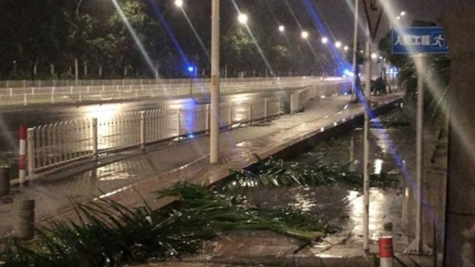 Typhoon Mangkhut Winds Leave Trees Astrew in Zhuhai