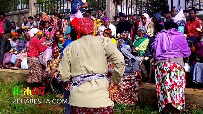 Ethiopia: ዘ-ሐበሻ የዕለቱ ዜና | Zehabesha Daily News