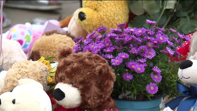 Stuffed Animals Left at Watts Memorial to Be Turned Into Blankets for Kids in Crisis