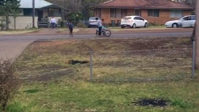 Fearless Kid Pops Wheelie with No Tire