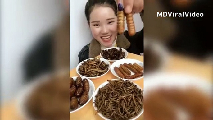 EW! Worm, Centipede and Scorpion Eating Challenge