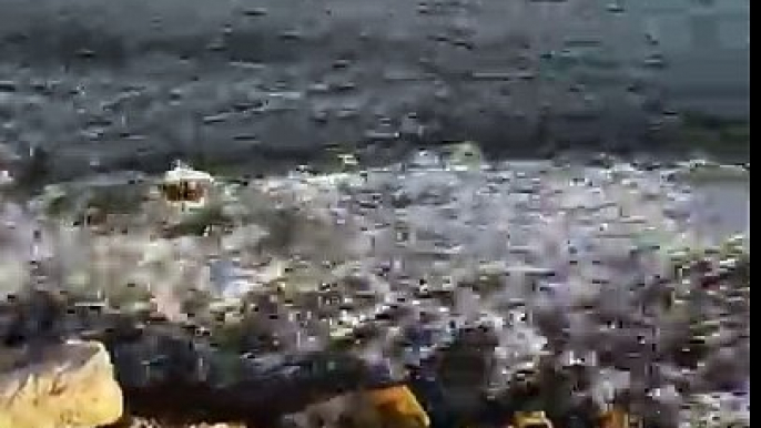 Des milliers de poissons Mullet sautent hors de l'eau