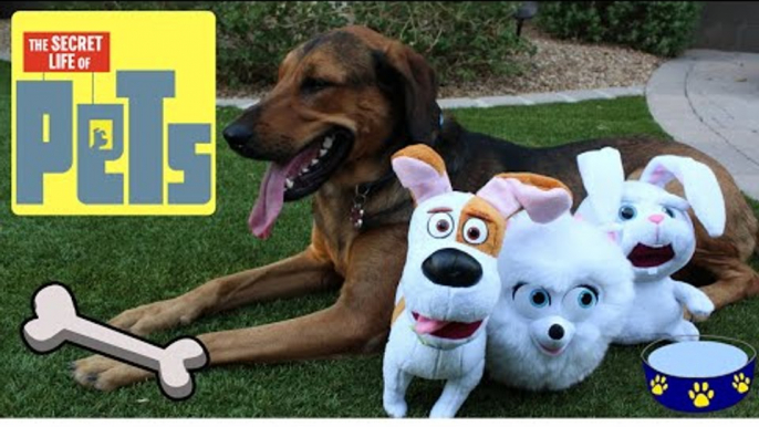 The SECRET LIFE OF PETS Talking Plush Buddies feat SNOWBALL, MAX, GIDGET and SANDY