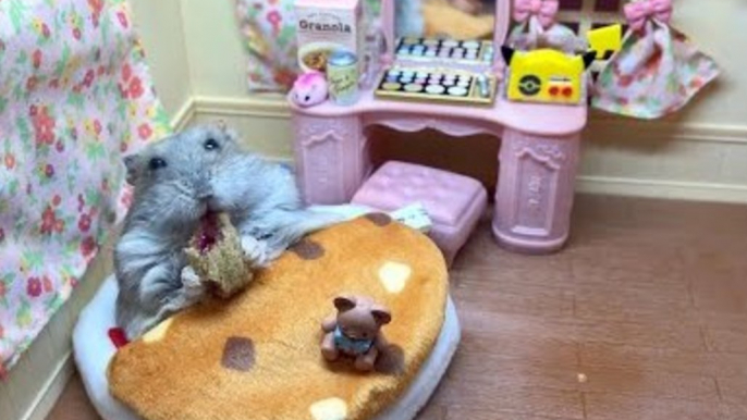 Pampered Hamster Enjoys Breakfast in Bed