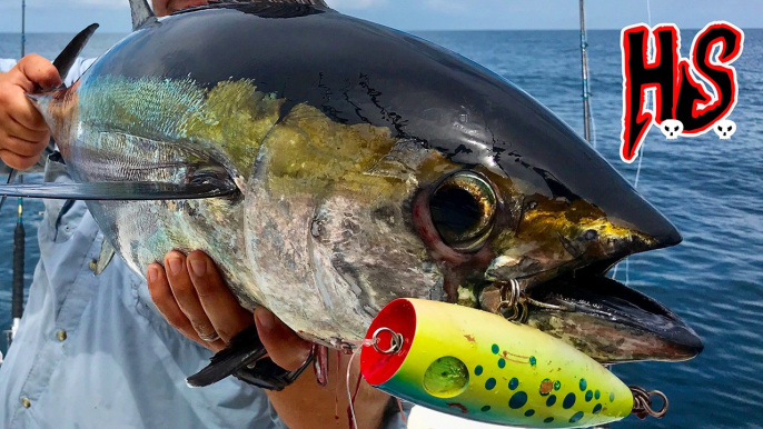 Hook Shots: Louisiana Offshore Odyssey