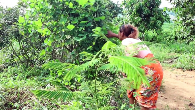 Survival skills: Find insects on tree grilled on clay for food - Cooking insects eating delicious