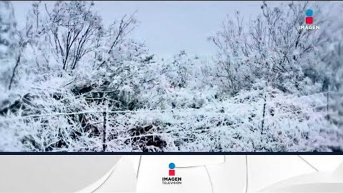 Seguirán las bajas temperaturas en el norte por el frente frío #20 | Noticias con Ciro