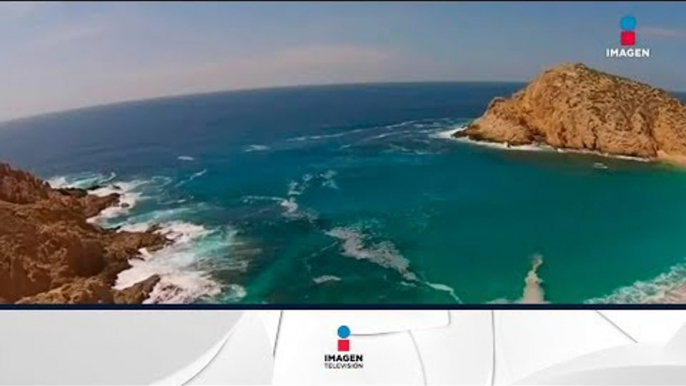 Distintivo Blue Flag para 20 playas mexicanas | Noticias con Francisco Zea