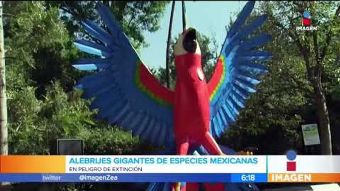 Alebrijes monumentales de especies mexicanas en riesgo en Chapultepec | Noticias con Francisco Zea