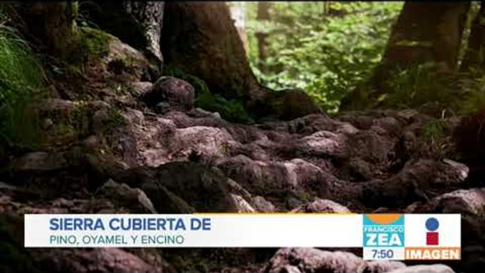 Increíble lugar para disfrutar el paisaje y la naturaleza en Michoacán | Noticias con Paco Zea