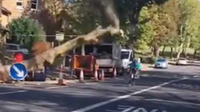 Un cycliste esquive de justesse la chute d'un arbre et évite la mort de peu