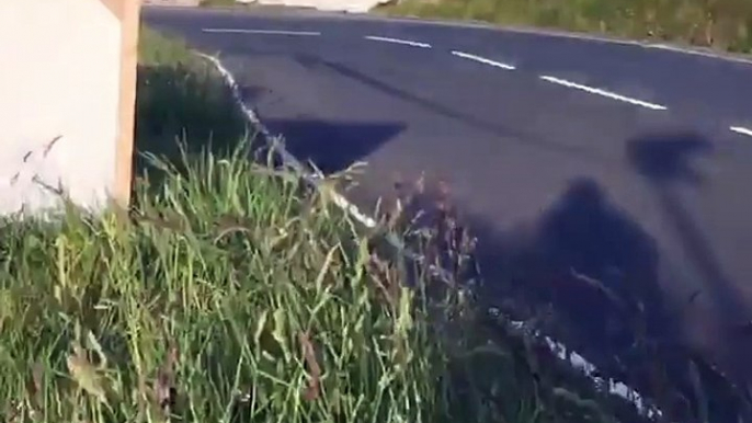 Sidecars at Gooseneck