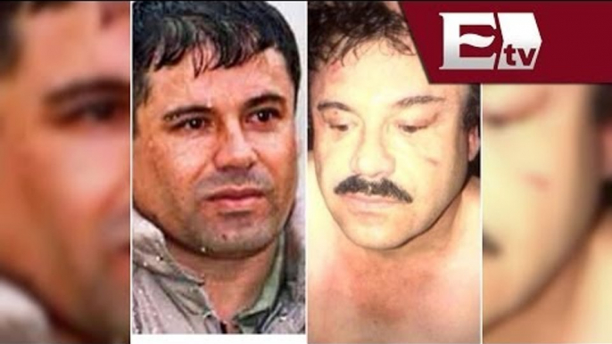 Chapo Guzmán: Historia delictiva de Joaquín Guzmán Loera / El Chapo Guzmán 2014