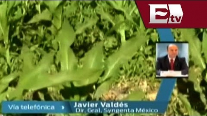 Entrevista con Javier Valdés, Director Syngenta México / Dinero