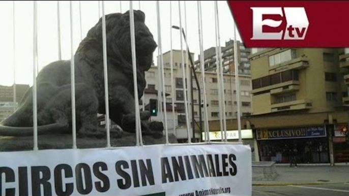 Análisis sobre la ley que prohíbe el uso de animales en espectáculos en el Circo