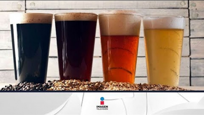 ¿Que es la cerveza artesanal? / Bebidas con cerveza artesanal