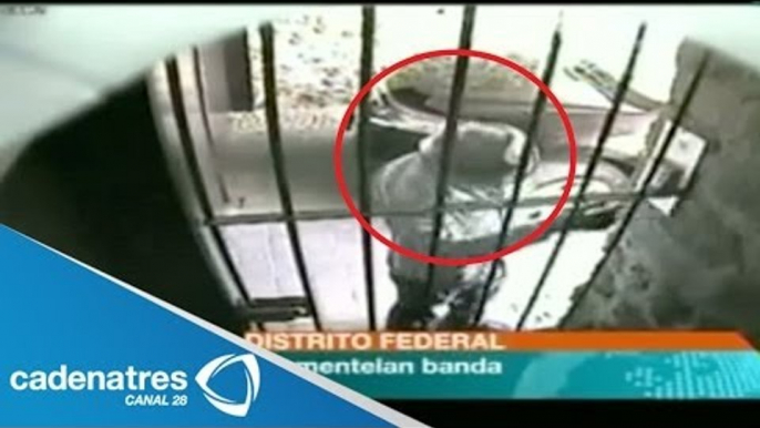 Cámaras de seguridad captan a banda de delincuentes robando una casa (VIDEO)