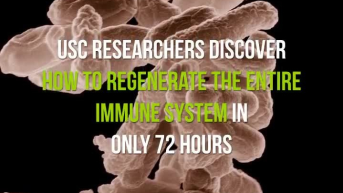 USC Researchers Discover How to Regenerate Your Entire Immune System In Only 72 Hours