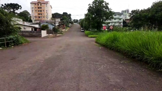 Mato alto em terreno causa transtornos no Centro