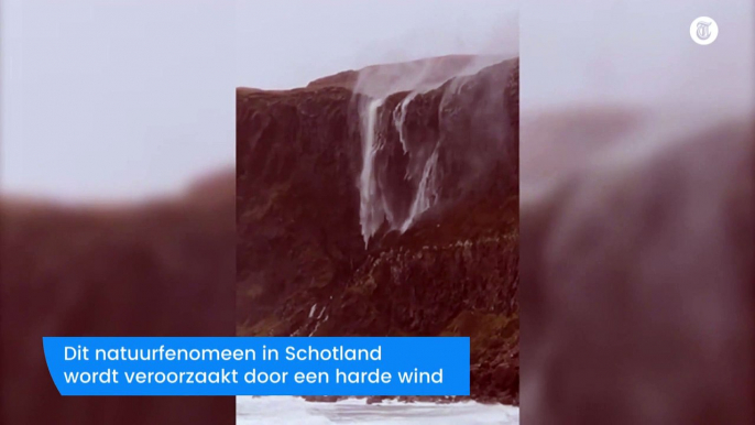 Bijzonder: waterval heeft maling aan zwaartekracht