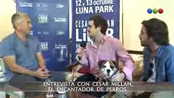 Aliados - Peter y Nico con Cesar Millan - El Encantador de Perros