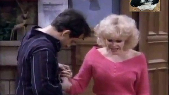 Perfect Strangers S7 E14 - Missing