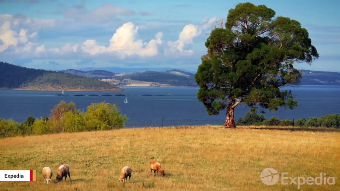 Geologists Have Found A Chunk Of Grand Canyon Thousands Of Miles Away In Tasmania