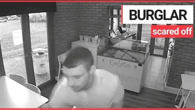 Cafe owner scares off burglar while on holiday | SWNS TV