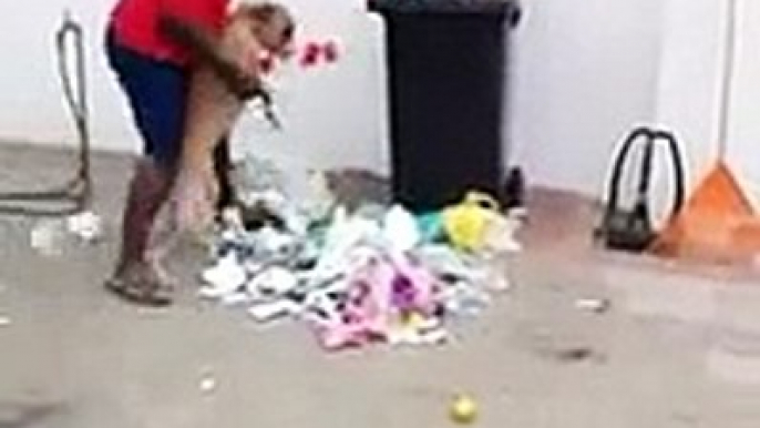 Dog Clearing Its Mess