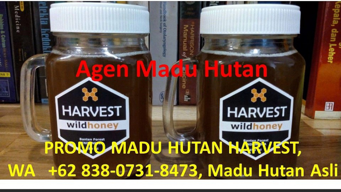 BELI MADU HUTAN GRATIS DRINKING JAR, WA   +62 838-0731-8473, Madu Asli