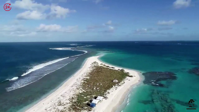 Hawaiian Island Important for Seals and Turtles Wiped Out by Hurricane Walaka