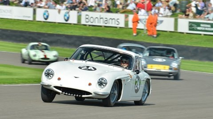 Goodwood Revival 2014 Race Highlights | Fordwater Trophy