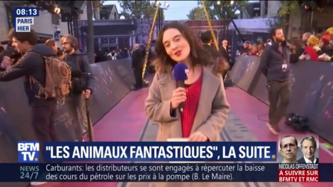 L'avant-première mondiale du film "Les animaux fantastiques" avait lieu jeudi à Paris