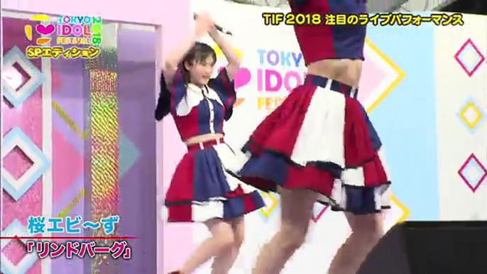 180803 リンドバーグ / 桜エビ～ず （TIF2018 Day1 スマイルガーデン）